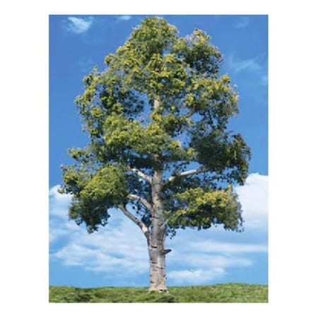 Grizzly Fitness 8-9 in. Clasc Trees Waters Edge0 BE1798267